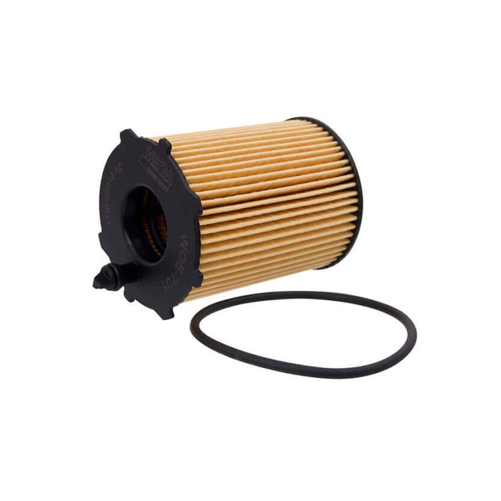 Filtro Óleo Peugeot Expert 2017 a 2020 - 798977 - WOE701 Menor preço em Filtro Óleo Peugeot Expert 2017 a 2020 - 798977 - WOE701